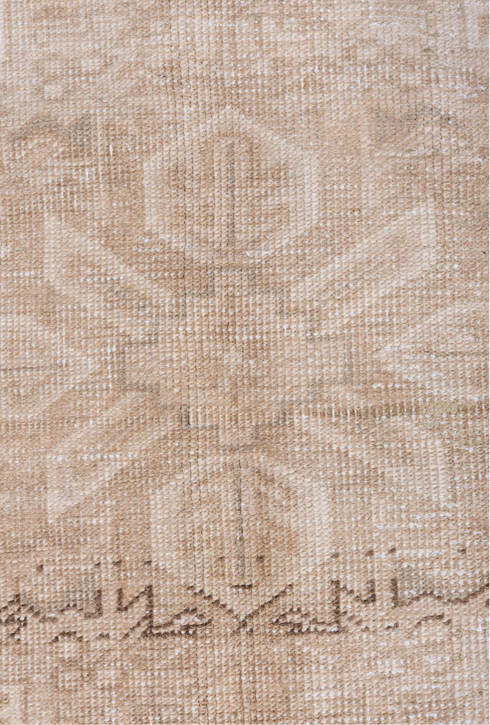 Antique Heriz Area Rug (6' x 9')